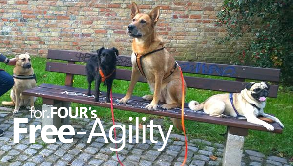 free-agility-rostock